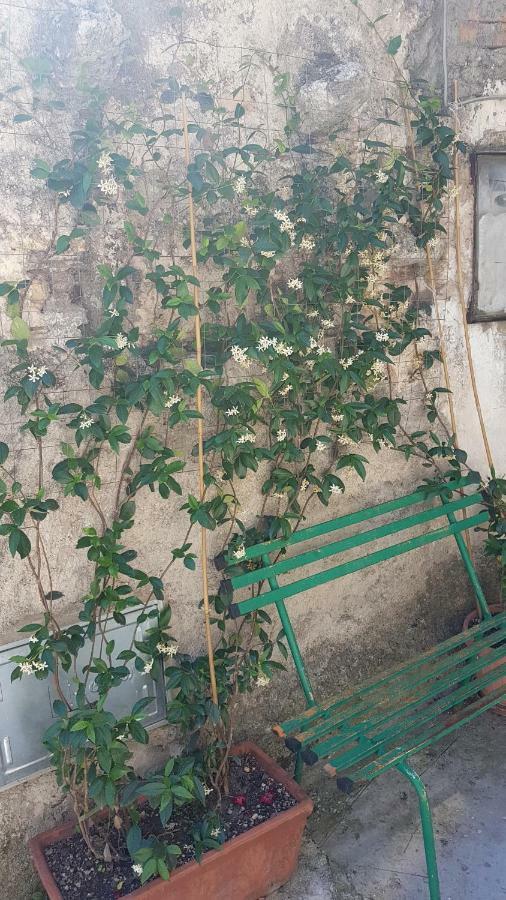 La Casetta Del Pellegrino Διαμέρισμα Poggio Bustone Εξωτερικό φωτογραφία